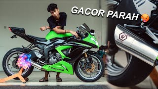 Gacor Parah Knalpot Baru Kenii, ZX636 With Underbelly Exhaust 🔥