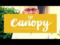 Canopy promo - Martin