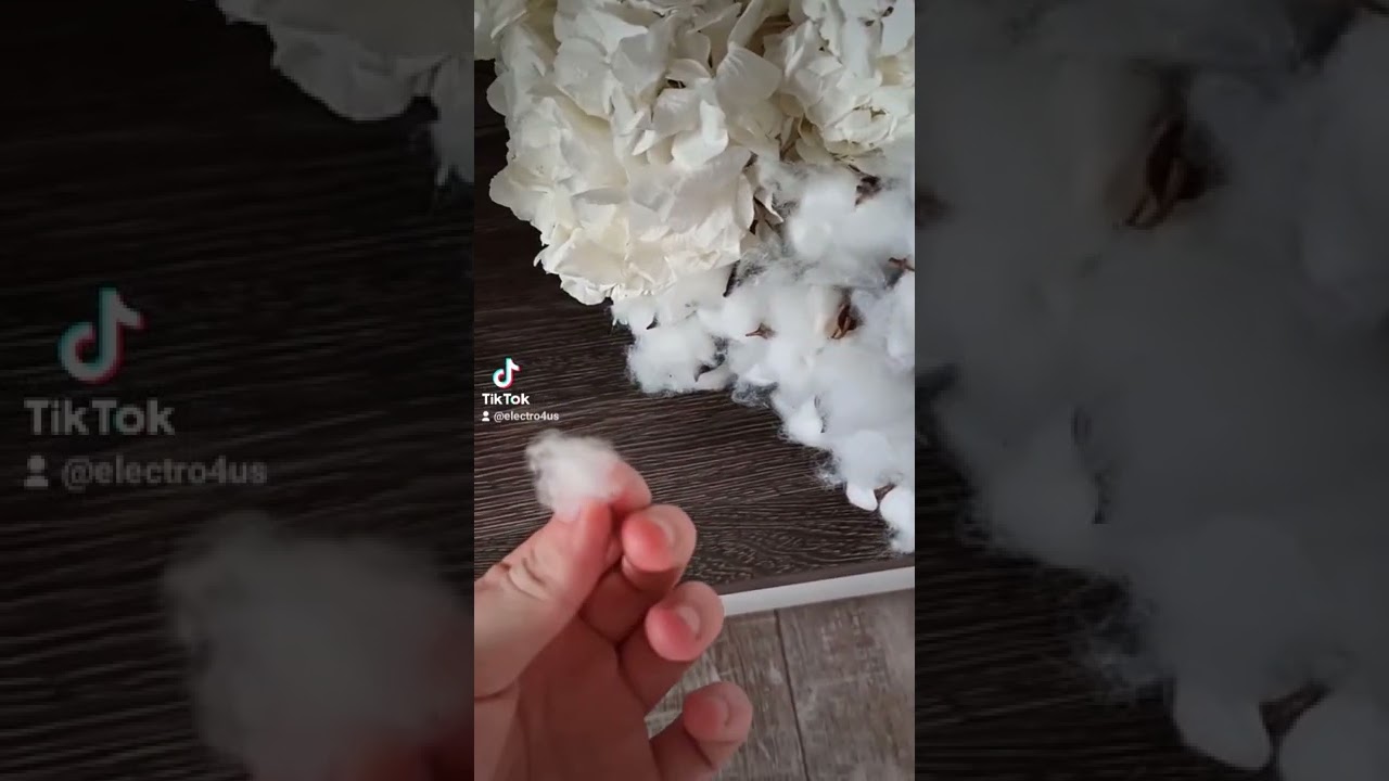 Сharge transferring by cotton in Wimshurst machine