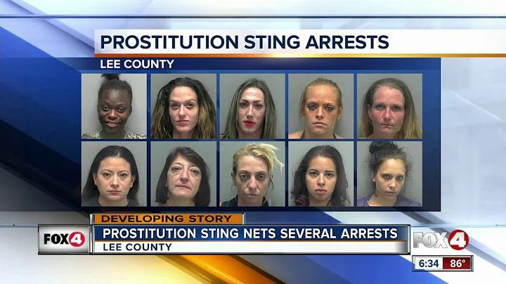 15 arrests made in Lee County prostitution sting