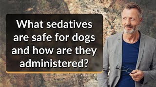What sedatives are safe for dogs and how are they administered?