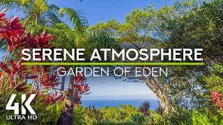 10 HRS Gentle Tropical Birds Chirping for Rest & Relax - 4K Serene Atmosphere of the Garden of Eden