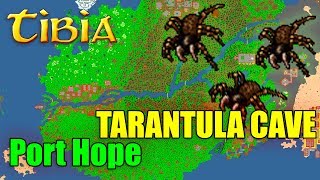 Tarantula Cave - Port Hope - Tiquanda Tarantulas Caves - TIBIA - PORADNIK