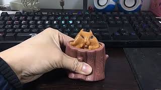 Pop Up Squirrel Stress Relief Toy