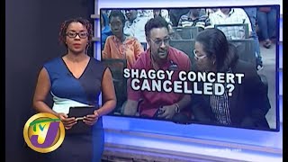 TVJ News: Shaggy Hurt by Bustamante Hospital Reports - November 12 2019