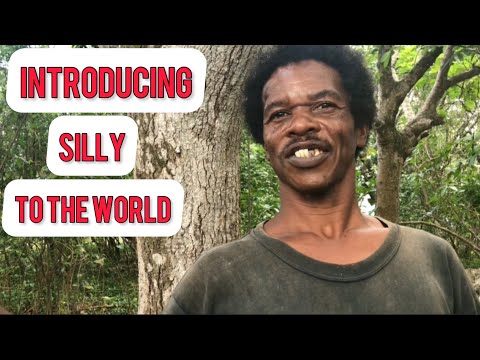 INTRODUCING SILLY TO THE WORLD 🌎 LAUGHTER IS THE BEST MEDICINE INDEED