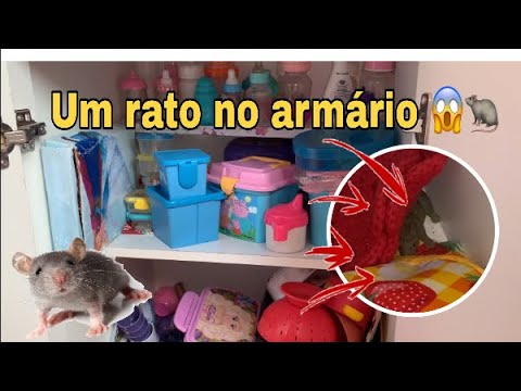 Fui Limpar O Armário Da Cozinha E Tinha Um Rato 😱🐀-Levei Um Susto/Milli Produções