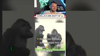 This Gorilla Is Zesty Af