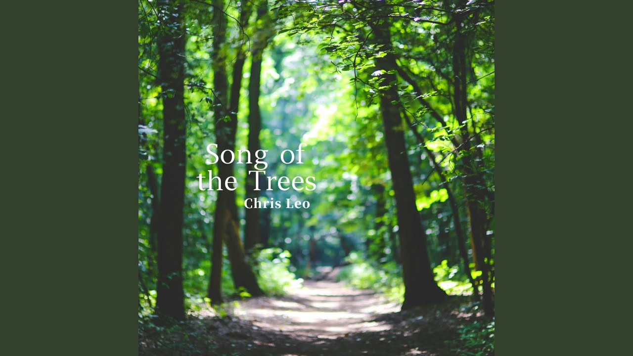 Forest Beneath the Moon