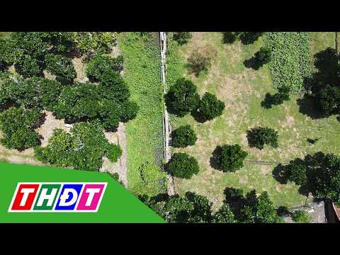 Orchard access path narrowed - Residents await resolution | THDT