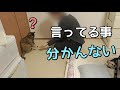 うちの旦那が猫に芸を教えたいらしい。