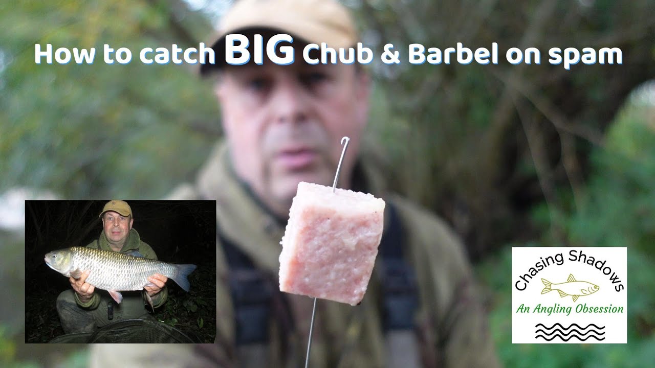 Как поймать большого голавля и усача на спам