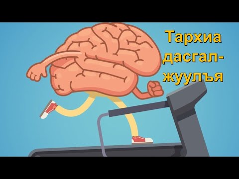 Видео: Туулай дахь тархи ба тархины эдийн үрэвсэл