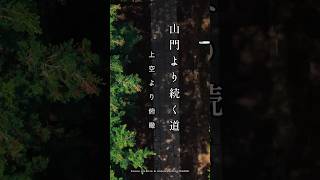 その祈り、未来へつなぐ　Drone License &amp; Video Editing MUROI 「山門より続く道」上空より俯瞰撮影　＃山門＃参道＃俯瞰＃ドローン＃喧騒#散策 散策＃祈り#癒し 癒し