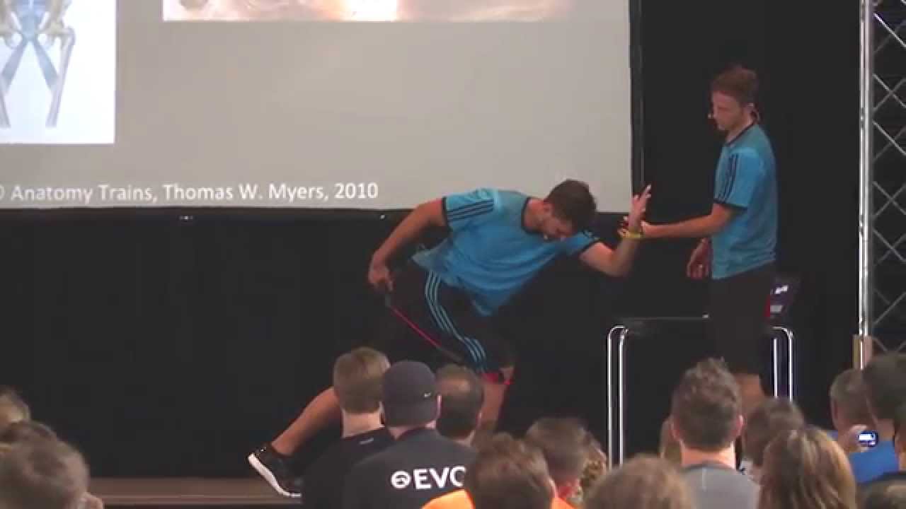 Die Bedeutung der myofaszialen Leitbahnen Teil 2