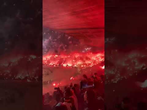 Ultra Green Boy Eagles Curva Sud Ultras Maroc 