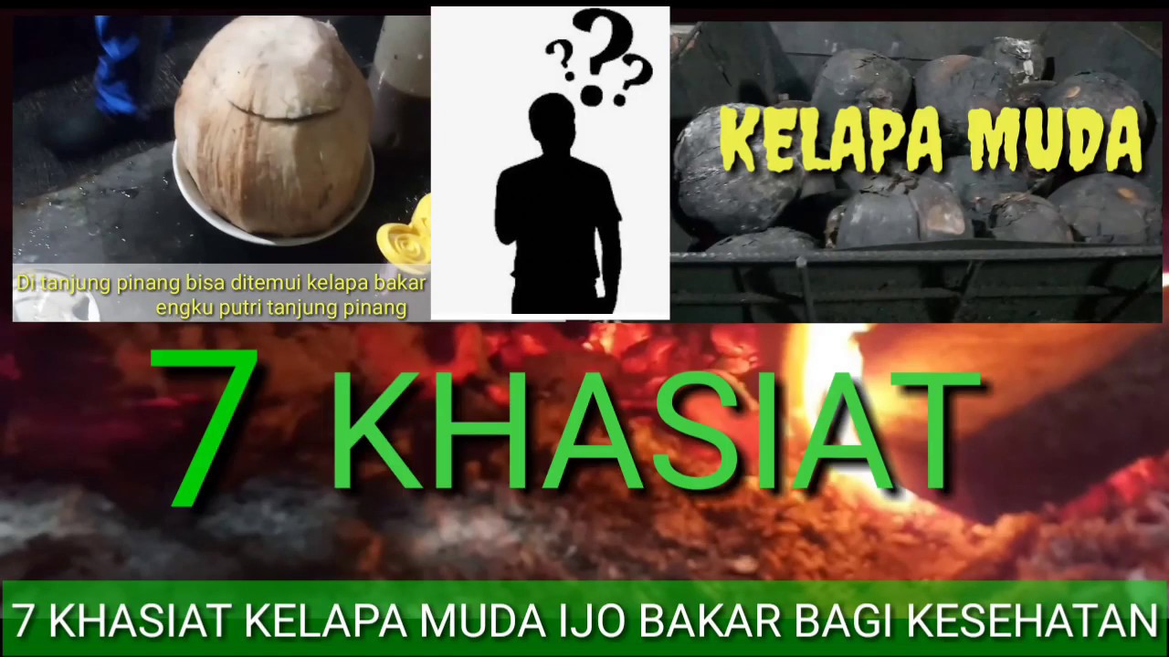 7 Khasiat Kelapa Ijo Bakar Untuk Kesehatan. Terutama Untuk Mengobati