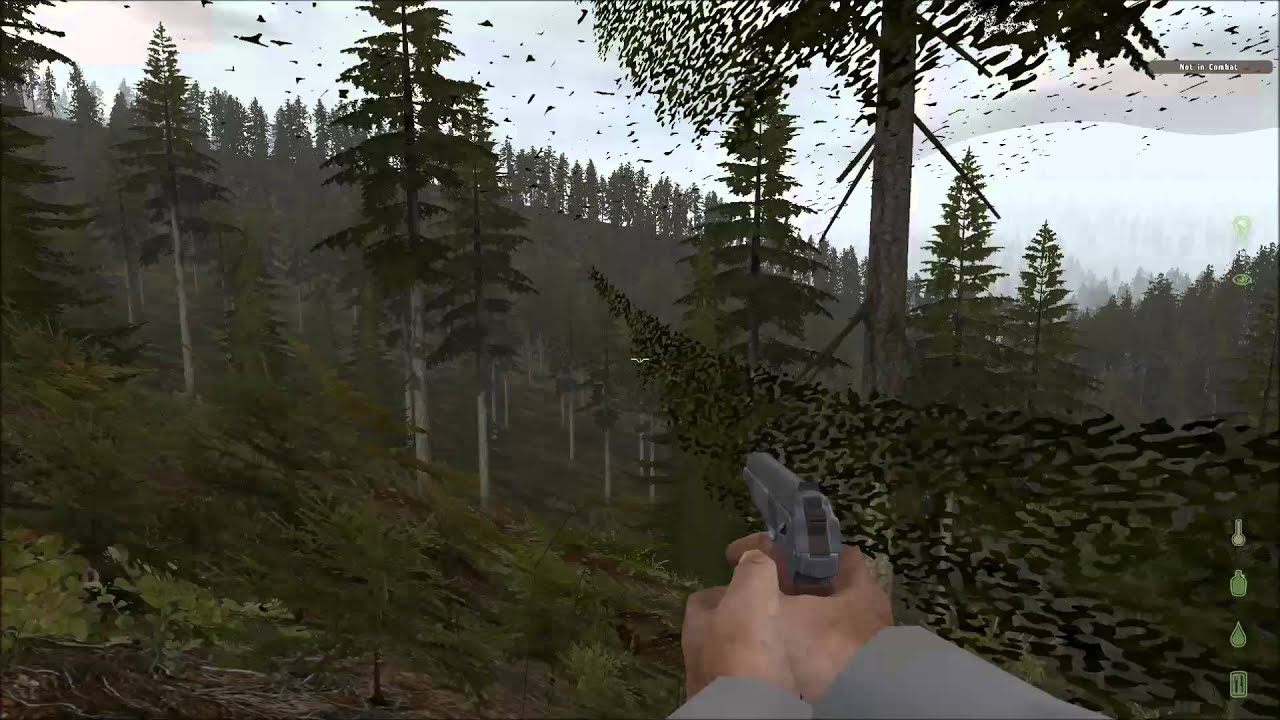 Camp raid fail in DAYZ