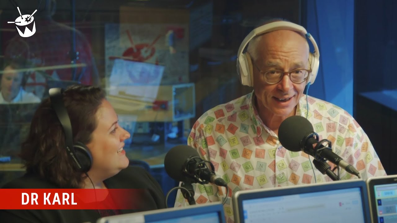 Dr Karl - Are daddy-long-leg spiders venomous?