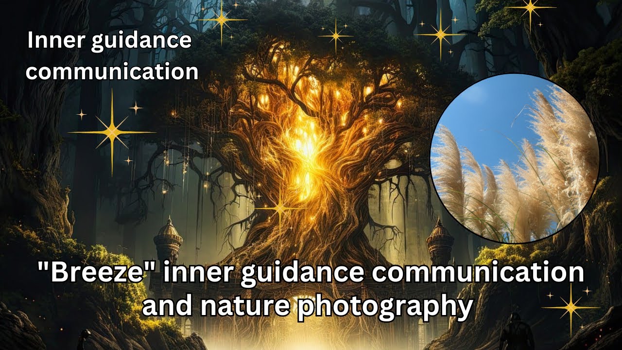 "Breeze" inner guidance communication and nature photography | High vibration art and words