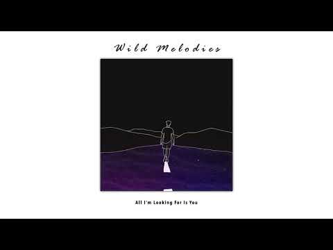 All I'm Looking For Is You - Wild Melodies