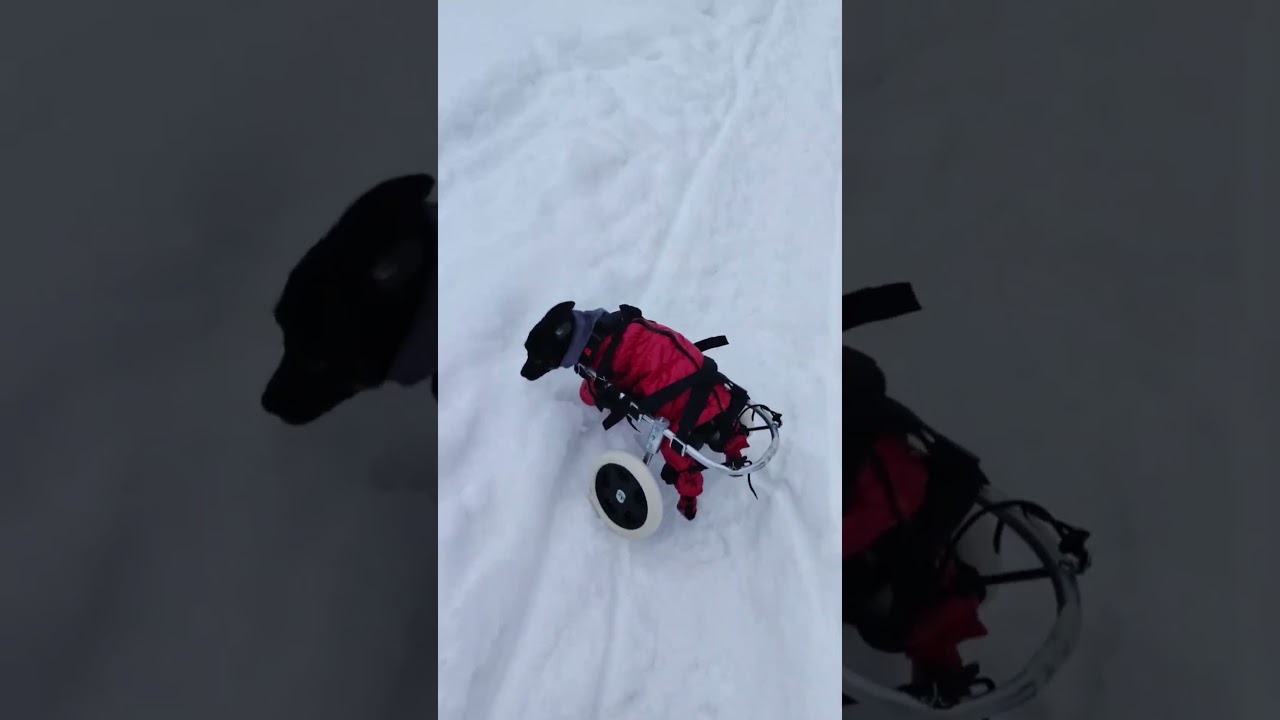 ✅Карты Сбербанк, Т банк, ВТБ, ОЗОН Подключены к номеру ☎89618898412 Ольга Р с пометкой "помощь