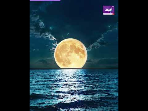 البحر اللي بينور حقيقة ولا خيال لغز حير العلماء 400 سنة
