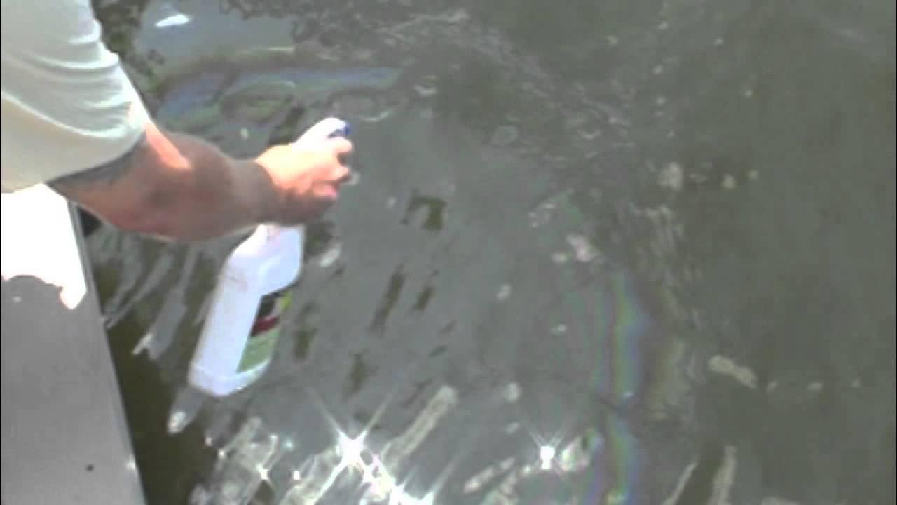 How to remove oil from water using Oil Solutions YouTube