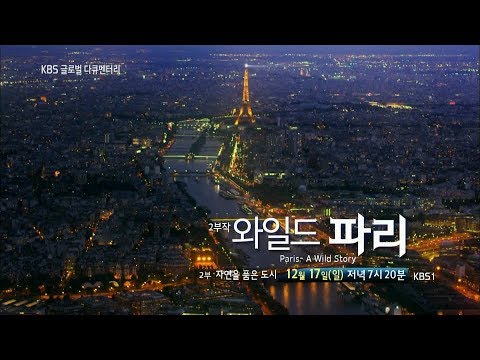 171217 글로벌다큐멘터리 예고 ㅣ KBS방송
