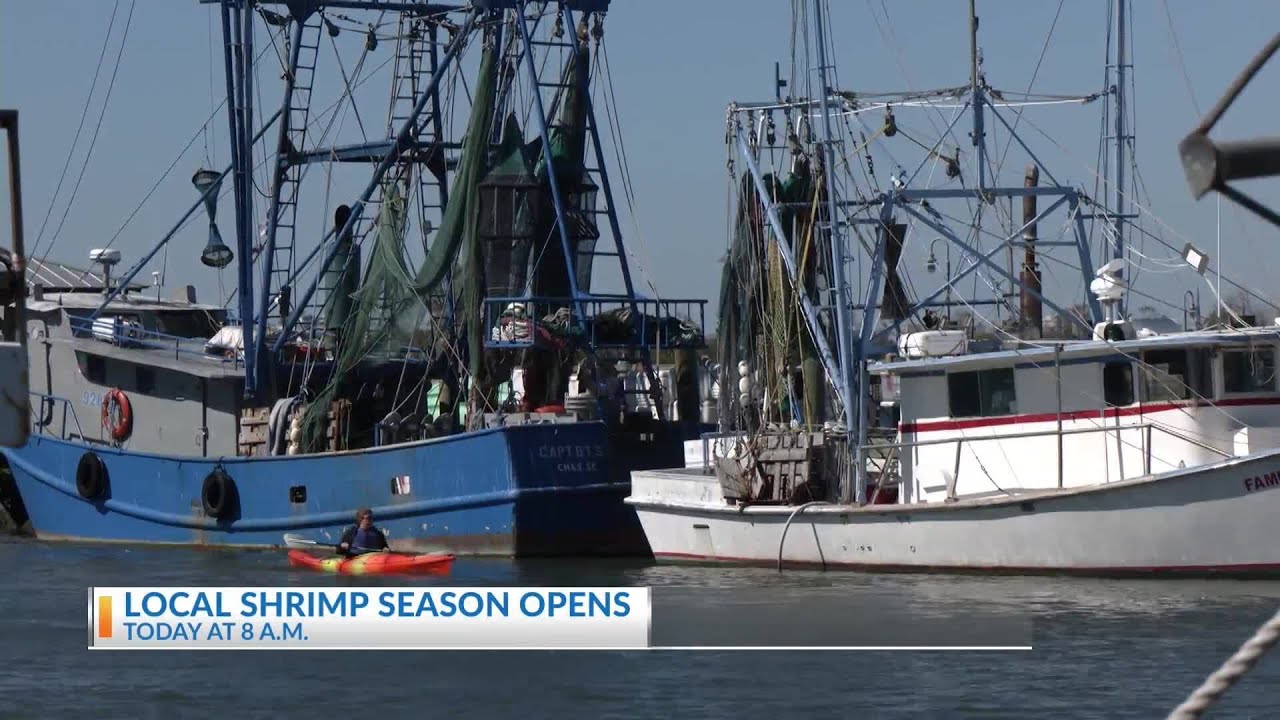 Local shrimp season opens Monday morning