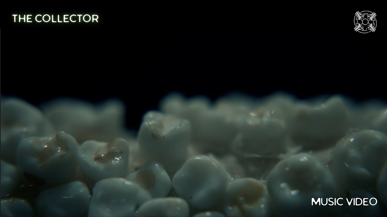 The Collector Music Video