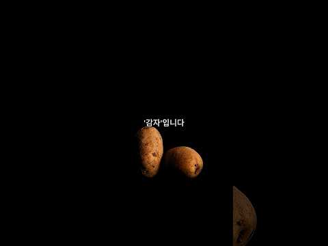 뉴질랜드 고딩들이 감자로 겨울을 이긴 방법 #뉴질랜드#더니든#성에퇴치