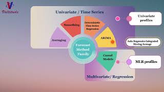Forecast Method Family  Univariate Multivariate Machine Learning Subjective Methods
