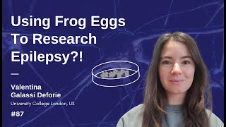 Using Frog Eggs To Research Epilepsy?! - Valentina Galassi Deforie