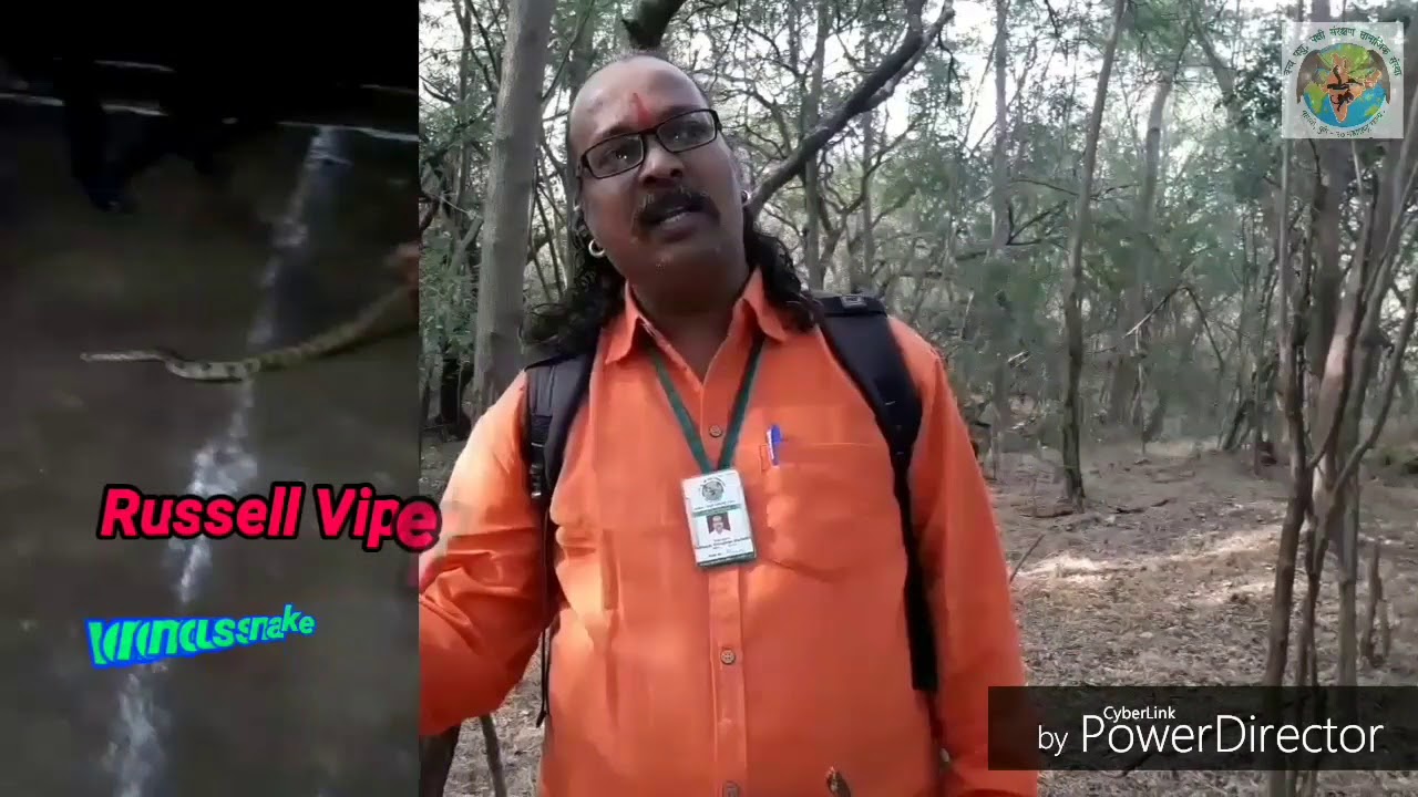 camera iphone 8 plus apk जहरीला साप ... स्टंट करना पडा महंगा..जहरीले साप के साथ खेलनेकी कोशिश कभी न करे यह जान लेवा हो सकतीहै