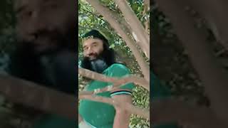 Saint Dr Gurmeet Ram Rahim Singh Ji Insan Status shorts || Msg New Status || Dss Videos