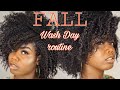 Fall wash and go routine ft aunt Jackie’s grape seed collection