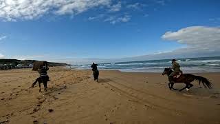 Riding With 5 Horses On The Beach Pov Horse Riding