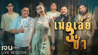 3 ช่าเมดเล่ย์ - เจน เจ้าค่ะ ( COVER ) [ LIVE SESSION ]