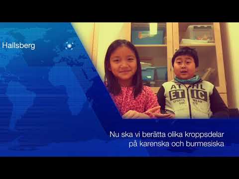 Video: Kinesiska Li Hua