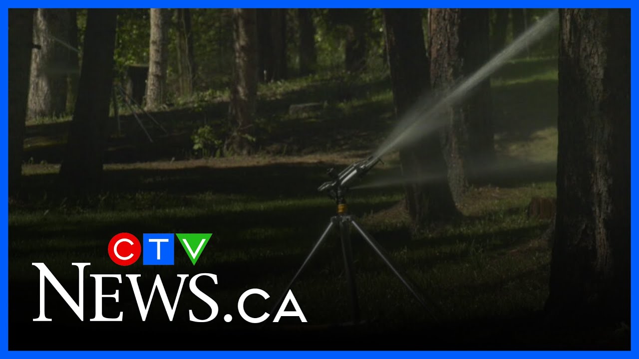 Banff community upping wildfire prevention game