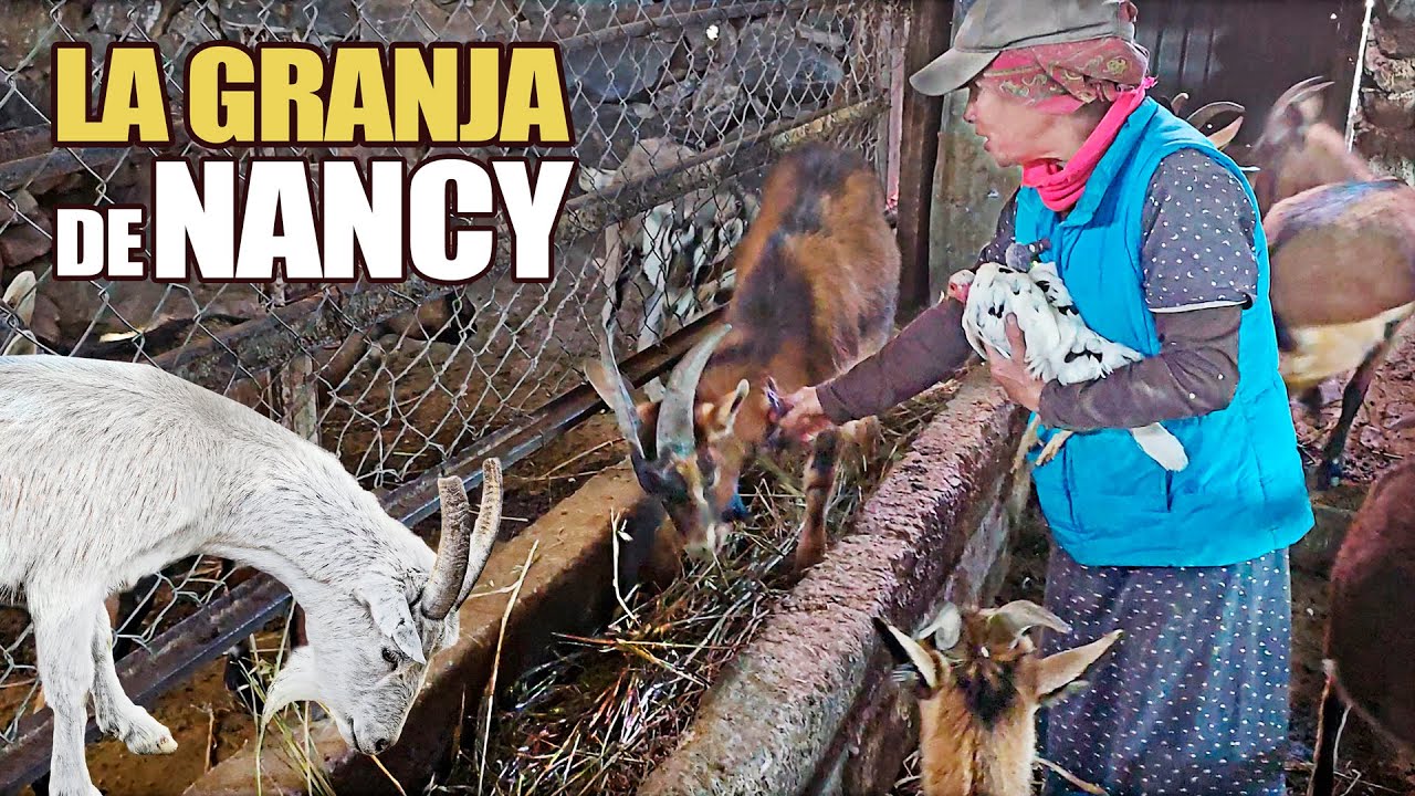 Hasta 4 días sin comer, Nancy a sobrevivido 29 años en la SIERRA DE 14