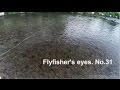 [HD] フライフィッシング / Fly fishing  ミッジ de オイカワ 201505初旬1 video 動画 "Flyfisher's eyes. No.31"
