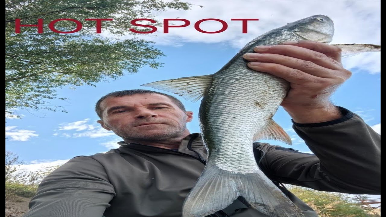LOV Bucova pored brodova  ! Asp fishing - HOT SPOT !