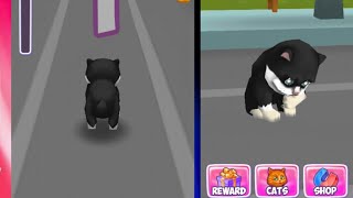 Cat Simulator - Kitty Run game/ Game for Fun/ Epic Gameplay /FHD video/ iGamer Android screenshot 5