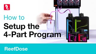 How to setup the 4Part Program