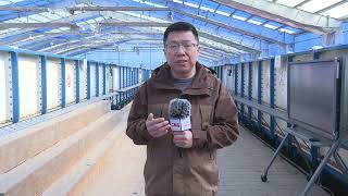 12515H7120 AS5 Ku 20260324 091230 CFCE029F16ACAA6C