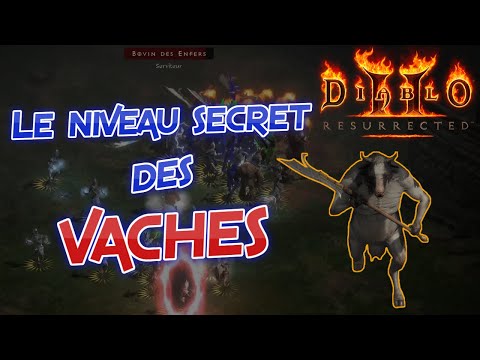 Le niveau secret des vaches - Diablo 2 Resurrected