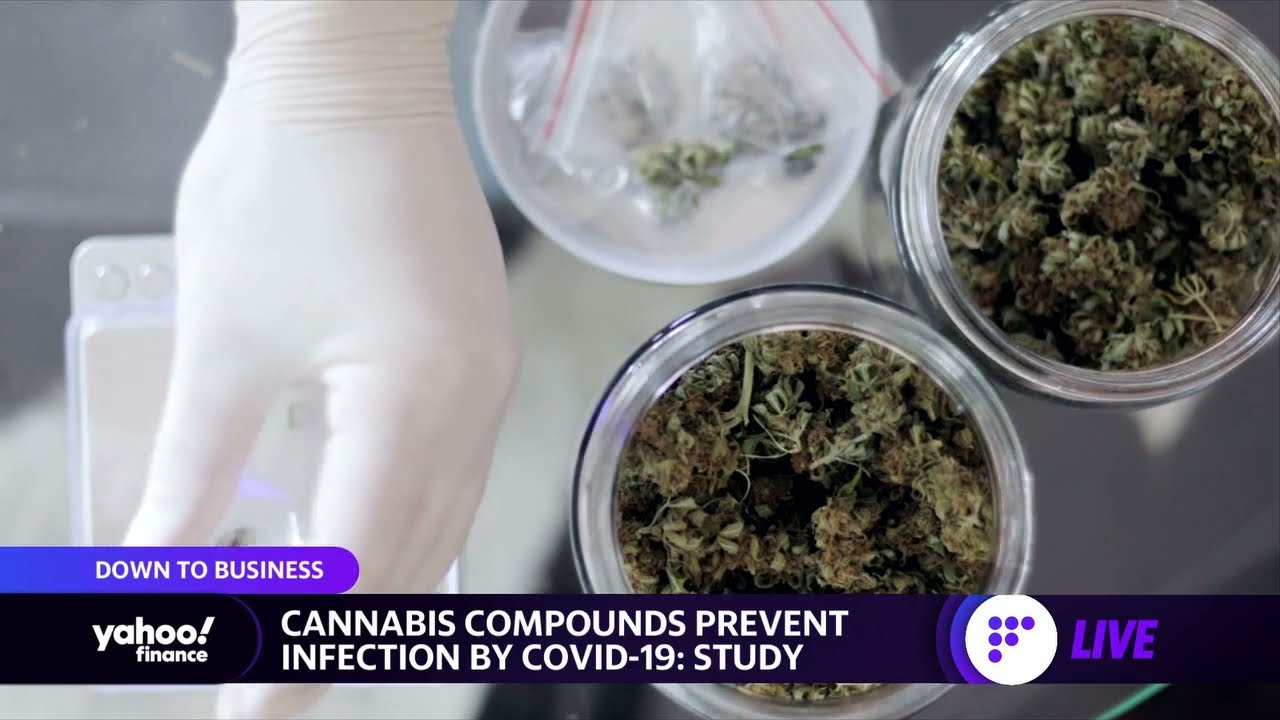 Cannabis compounds may prevent COVID infection, Microsoft hires Apple chip veteran, TPG prices IPO