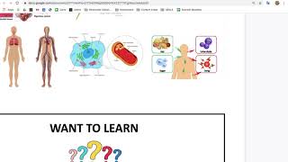 Lesson 1, Part 2, KWL Chart
